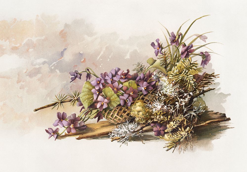 Auguste Schmidt's floral arrangement with violets (1861&ndash;1897). Original public domain image from Digital Commonwealth.…