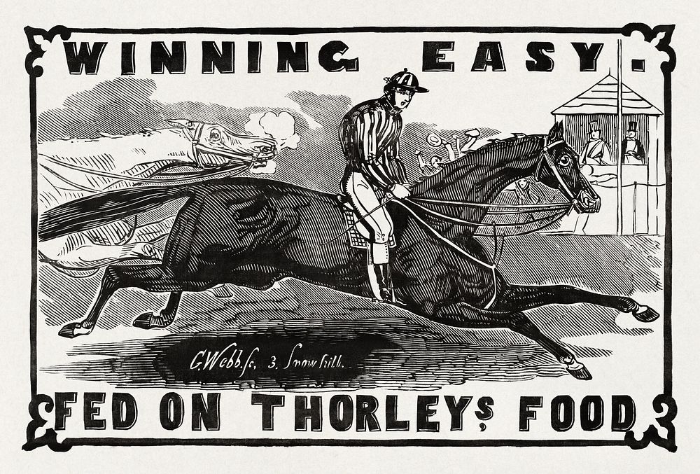 Winning Easy, equestrian sports. Original public domain image from Smithsonian. Digitally enhanced by rawpixel.