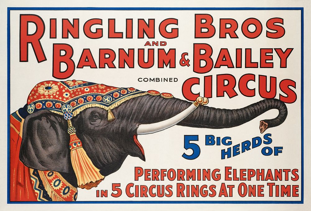 Ringling Bros and Barnum & Bailey Combined Circus : 5 big herds of performing elephants in 5 circus rings at one time (1920)…