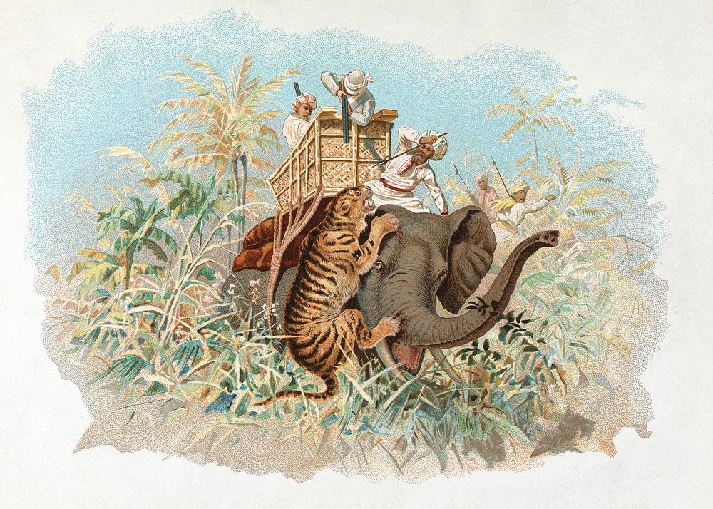 Tiger Hunting (1849&ndash;1917) animal illustration by John Charlton. Original public domain image from Yale Center for…