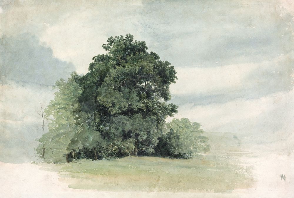 Study of Trees at the Edge of a Field watercolor by Cornelius Varley. Original public domain image from Yale Center for…