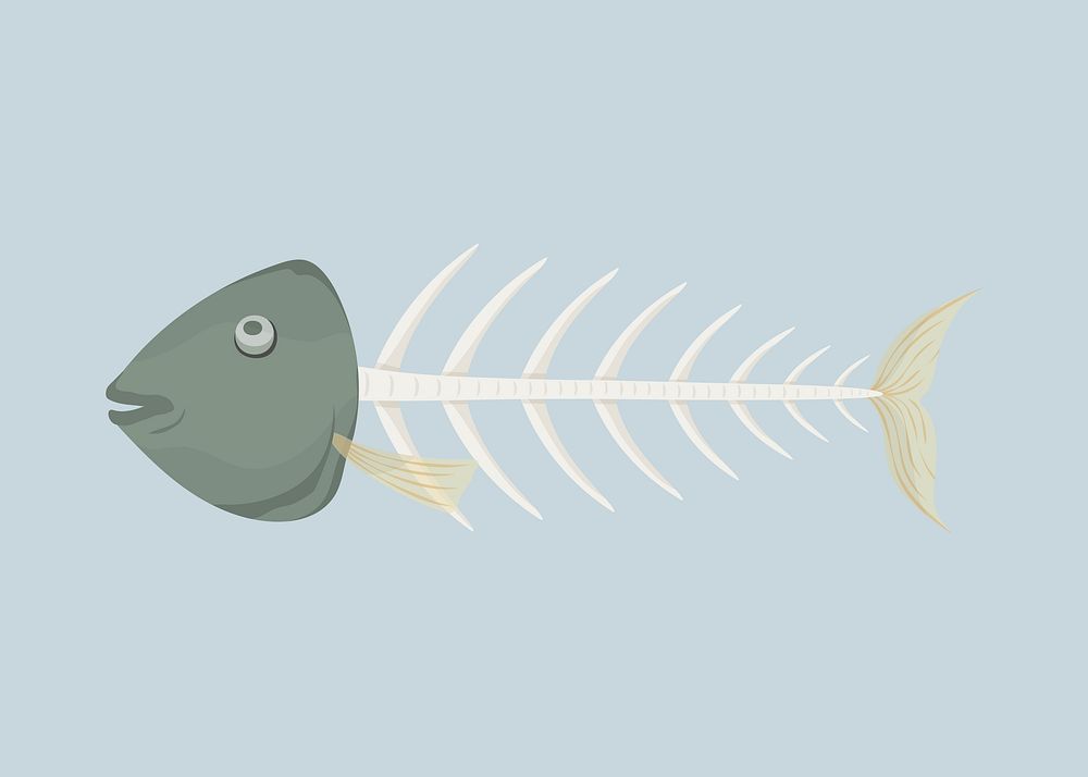 Fish bone illustration