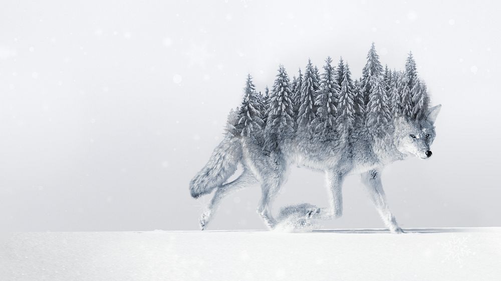 Surreal coyote wolf HD wallpaper, pine forest back remix