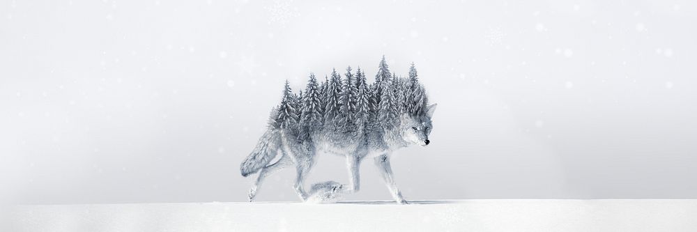 Surreal coyote wolf background, pine forest back remix