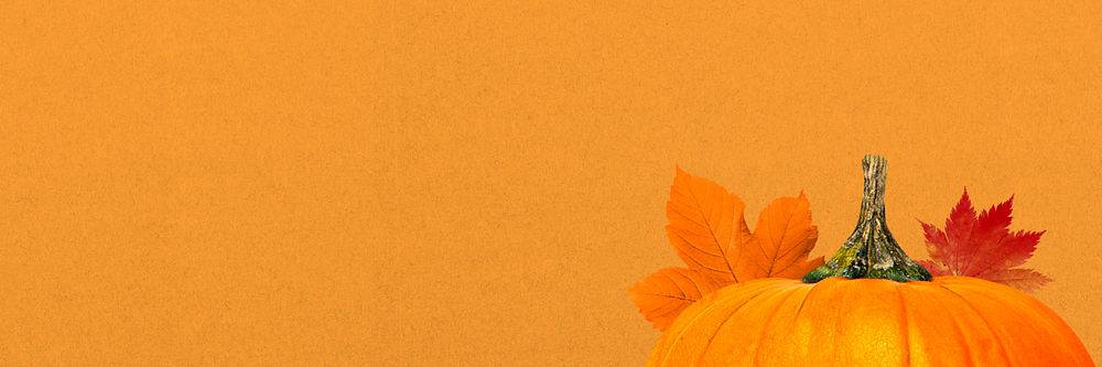 Autumn pumpkin aesthetic background, maple | Premium Photo - rawpixel