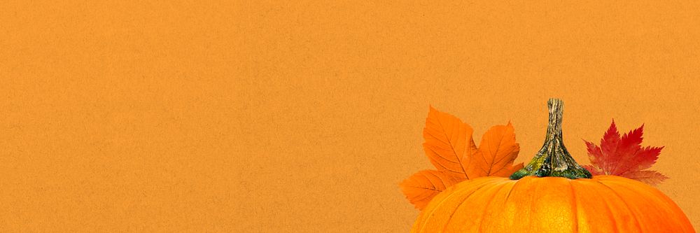 Autumn pumpkin aesthetic background, maple leaf border