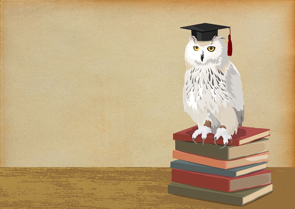 Owl of Athena background, education image