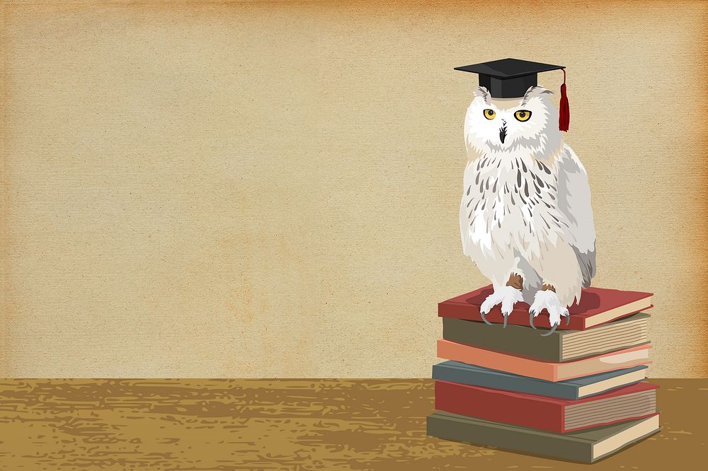 Owl of Athena background, education image