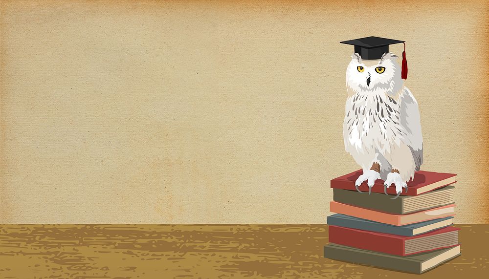 Graduation owl background, education image