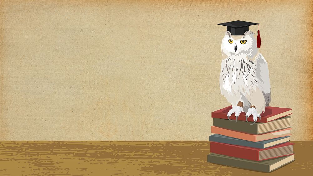 Owl of Athena HD wallpaper, education image