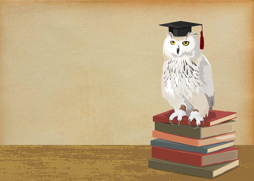 Owl of Athena background, education image