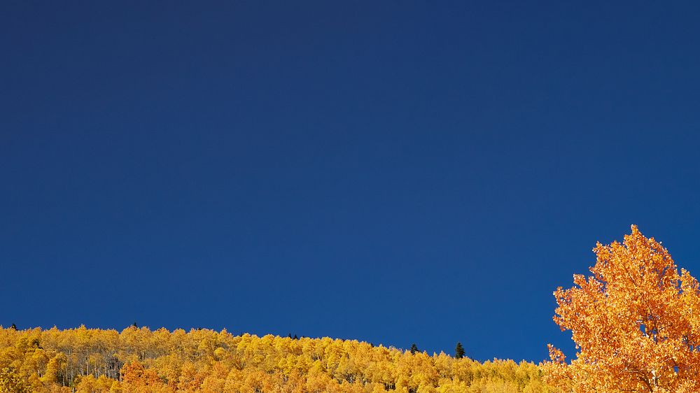 Autumn meadow border HD wallpaper, blue sky image