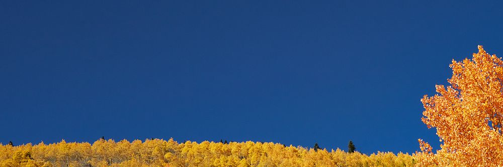 Autumn meadow border background, blue sky image