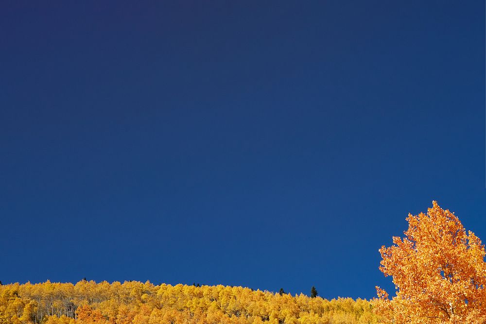 Autumn meadow border background, blue sky image