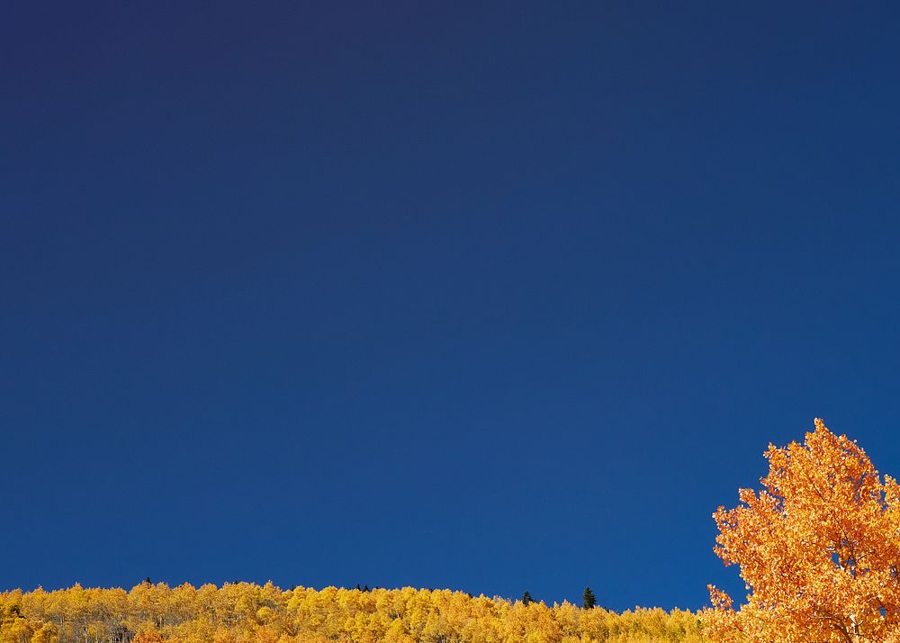 Autumn meadow border background, blue sky image