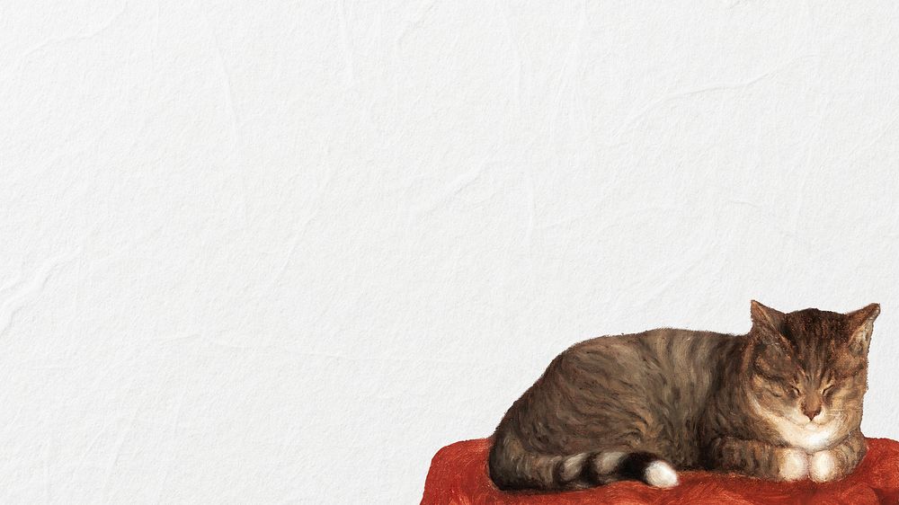 Sleeping cat border HD wallpaper