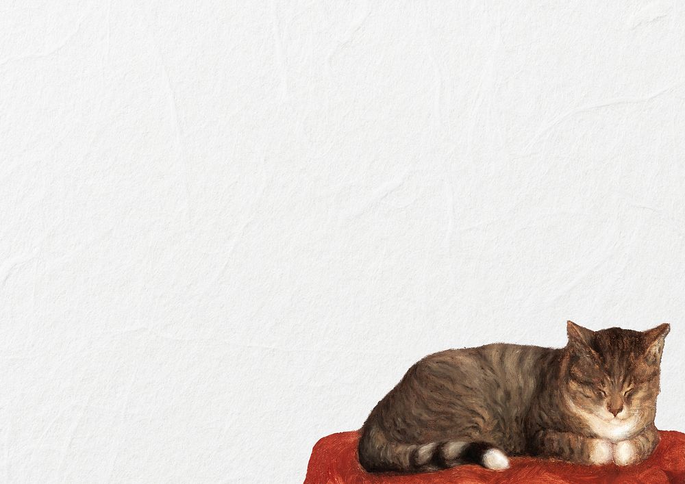 Sleeping cat border background