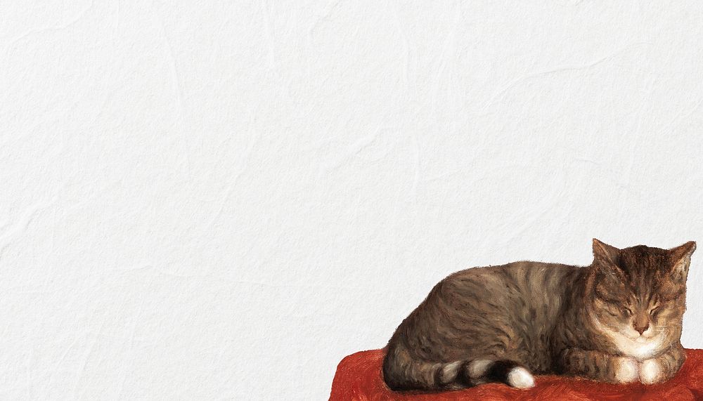 Sleeping cat border background