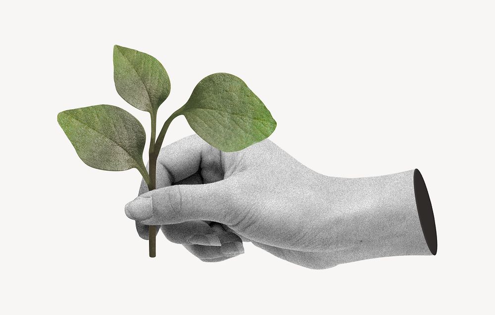 Hand holding leaf branch, environment graphic
