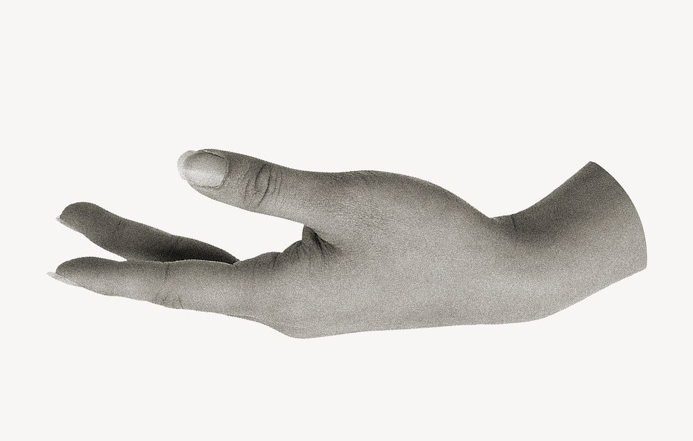 Woman's palm hand gesture