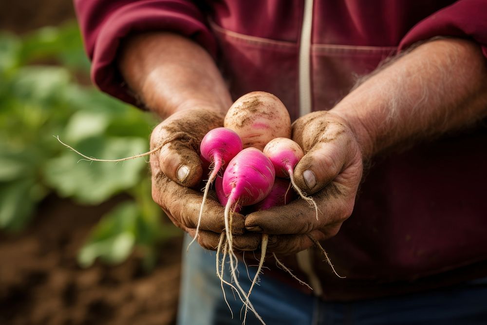 Farmer holding radish AI generated image