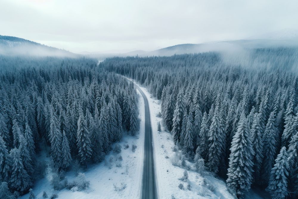 Road among Winter forest AI generated image
