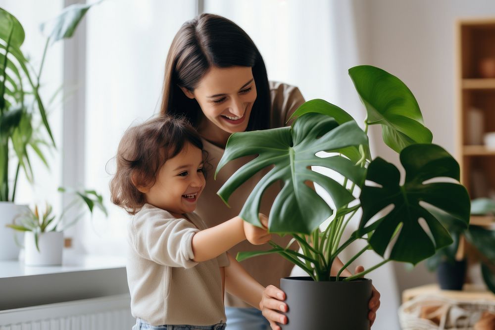 Plant houseplant gardening adult. 