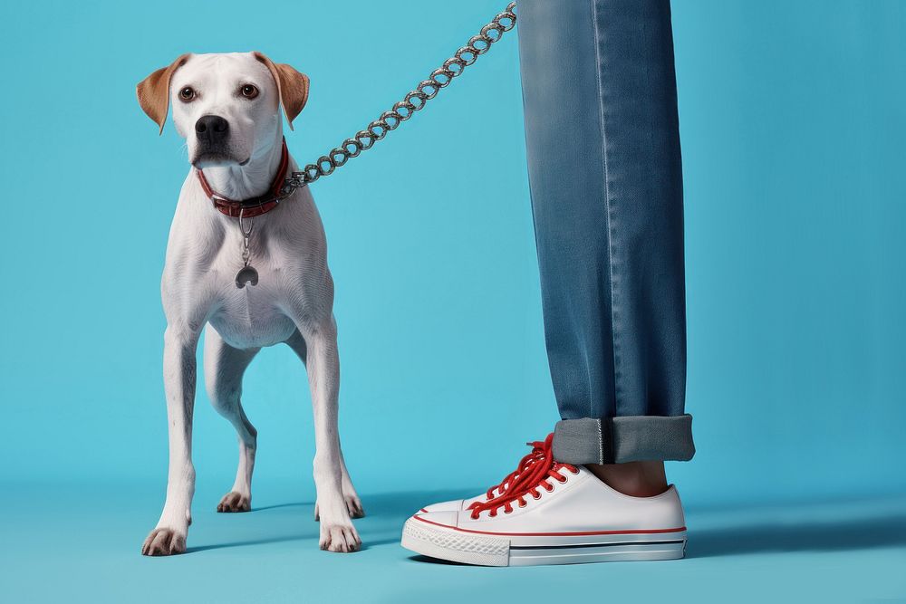 Leash dog footwear sneaker. AI generated Image by rawpixel.