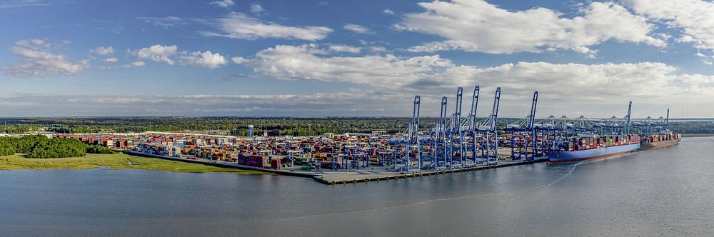 Two container ships docked at the Wando Welch Terminal (WWT) in Mount Pleasant, South Carolina, on November 19, 2020.
