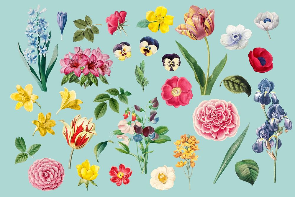 Colorful flower illustration set psd