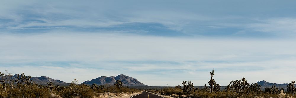 Desert road background for banner