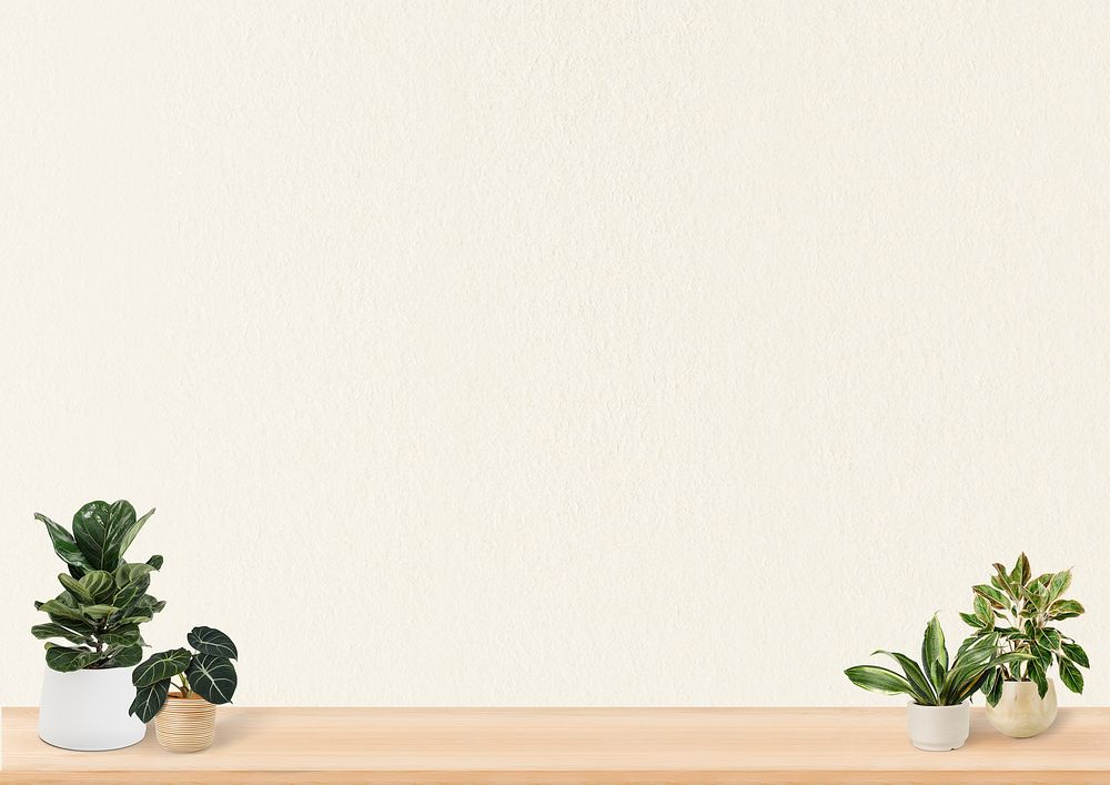 Plants on shelf background design