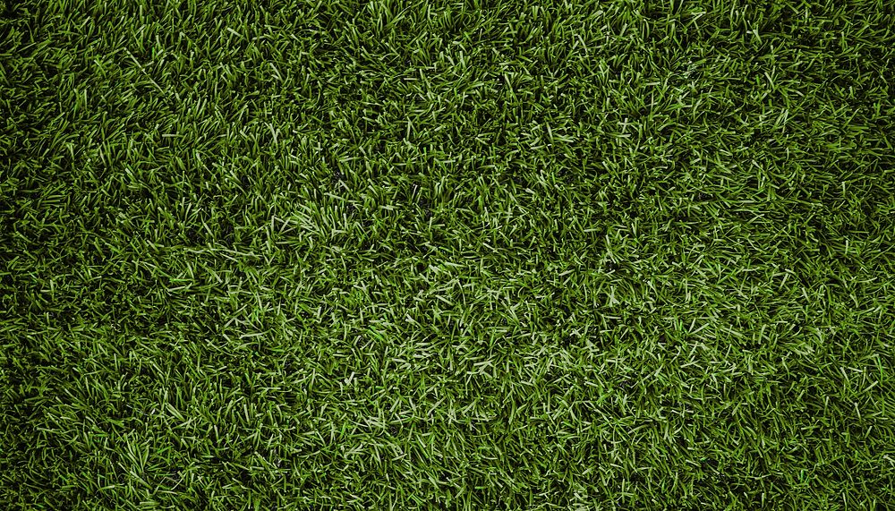 Football pitch background design