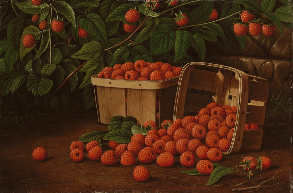 Raspberries in Basket (Raspberries and Baskets) by Levi Wells Prentice