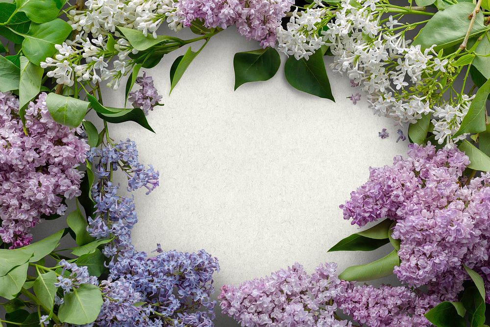 Aesthetic purple flower frame