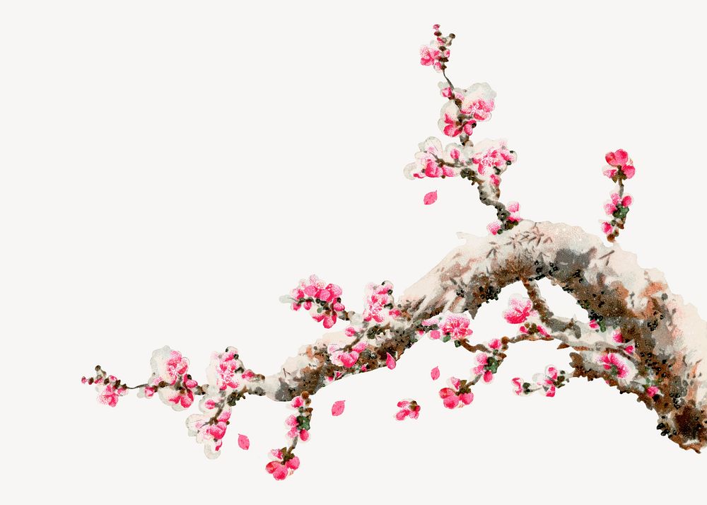 Cherry blossom tree, vintage painting by G.A. Audsley-Japanese illustration. Remixed by rawpixel.