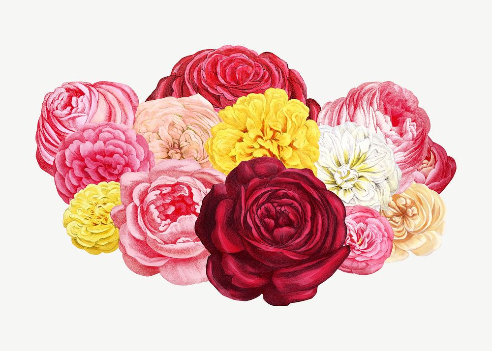 Colorful rose flowers, vintage botanical collage element psd  by François-Frédéric Grobon. Remixed by rawpixel.