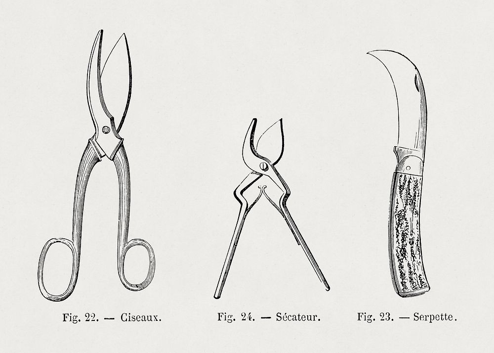 Scissors, pruning shears, pruning hook, gardening tool illustration by Fran&ccedil;ois-Fr&eacute;d&eacute;ric Grobon. Public…