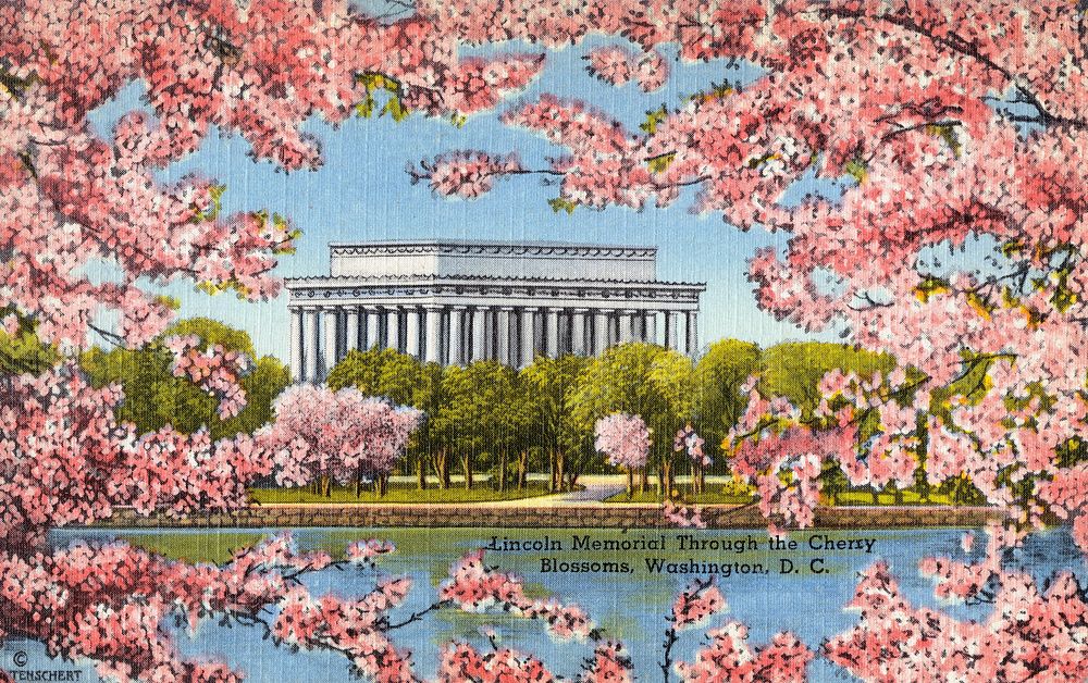 Lincoln Memorial through the Cherry Blossoms, Washington, D. C. (1930&ndash;1945) chromolithograph.  Original public domain…