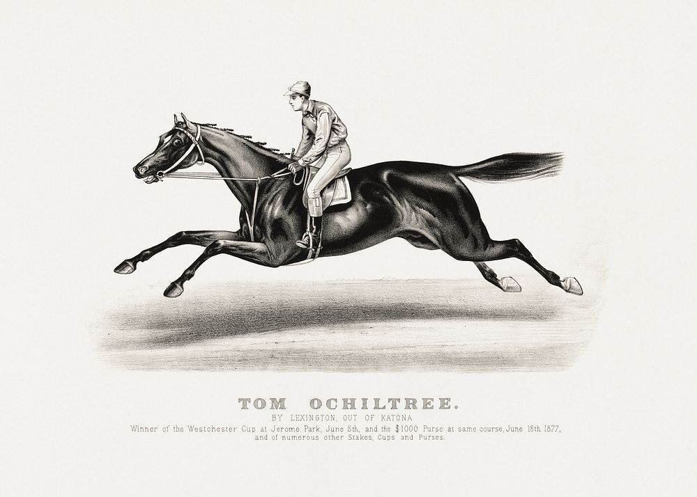 Tom Ochiltree by Lexington, Out of Katona (1870-1880) chromolithograph by Currier & Ives. Original public domain image from…