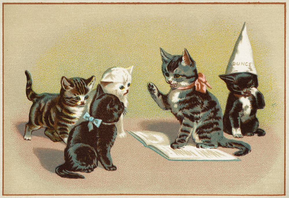 Five cats, one sitting with a dunce cap while one reads from a book to the other three (1870&ndash;1900), vintage animal…