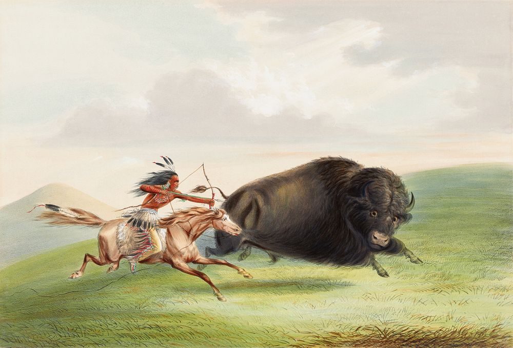 Buffalo Hunt, Chase (1884) chromolithograph art by George Catlin. Original public domain image from The Minneapolis…