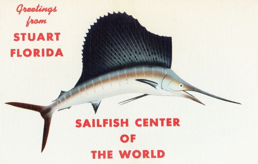 Greetings from Stuart, Florida, sailfish center of the world (1930&ndash;1945) chromolithograph art. Original public domain…