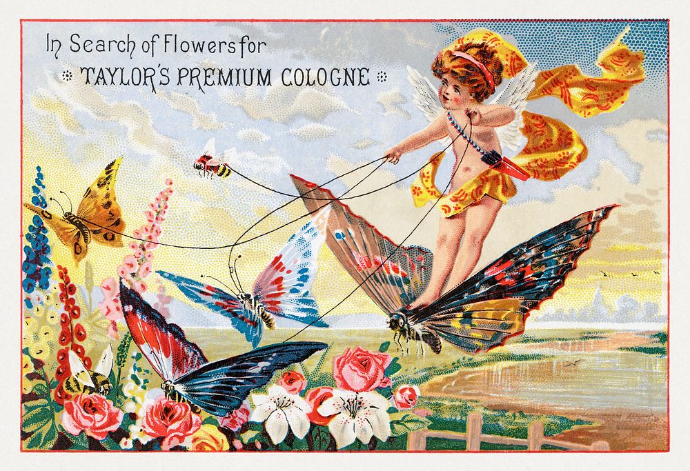 In search of flowers for Taylor's Premium Cologne (1870&ndash;1900) chromolithograph art by Walter A. Taylor. Original…