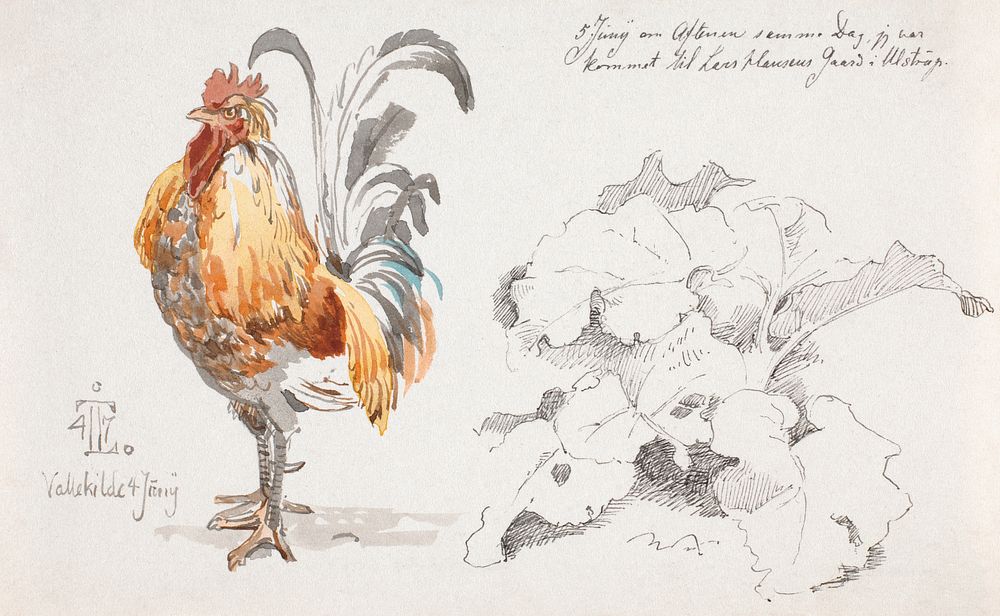 Study magazine with a cock and a cock (1847) watercolor art by Johan Thomas Lundbye. Original public domain image from The…