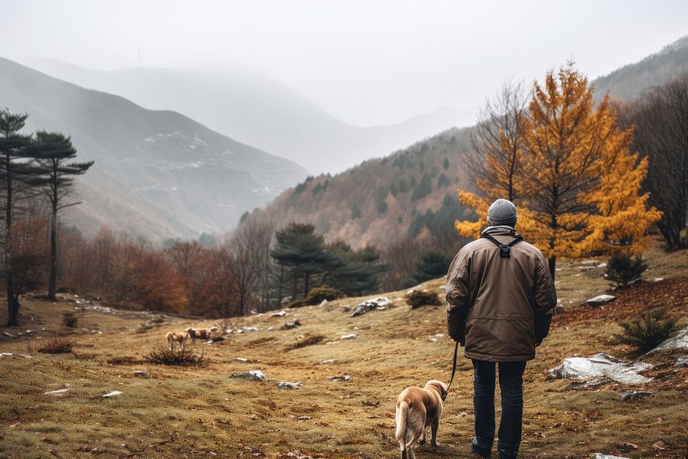 Walking autumn dog recreation. AI generated Image by rawpixel.