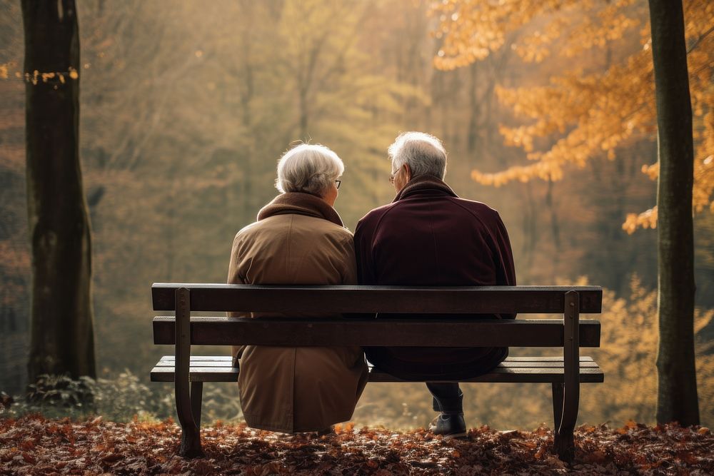 Sitting autumn bench furniture. 