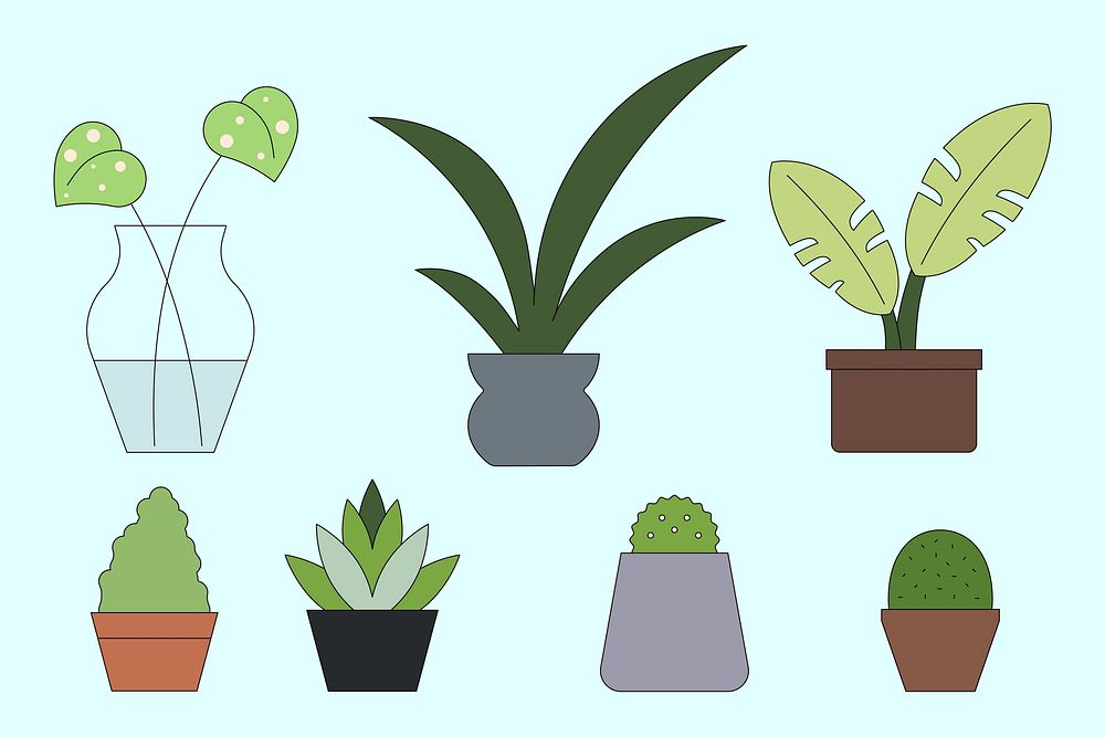 Cute houseplants, flat graphic set vector