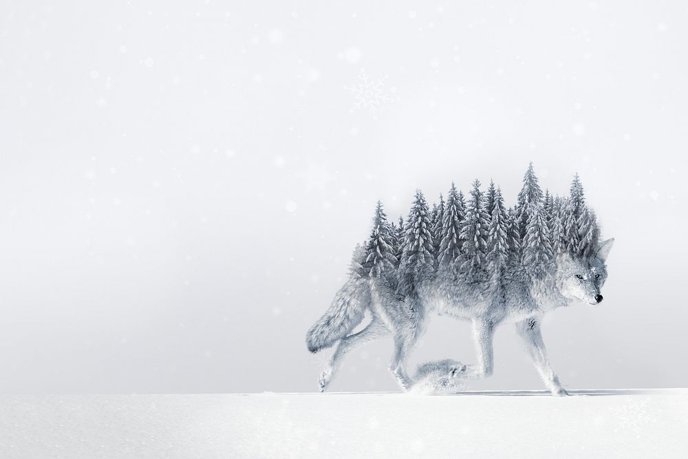 Surreal coyote wolf background, pine forest back remix