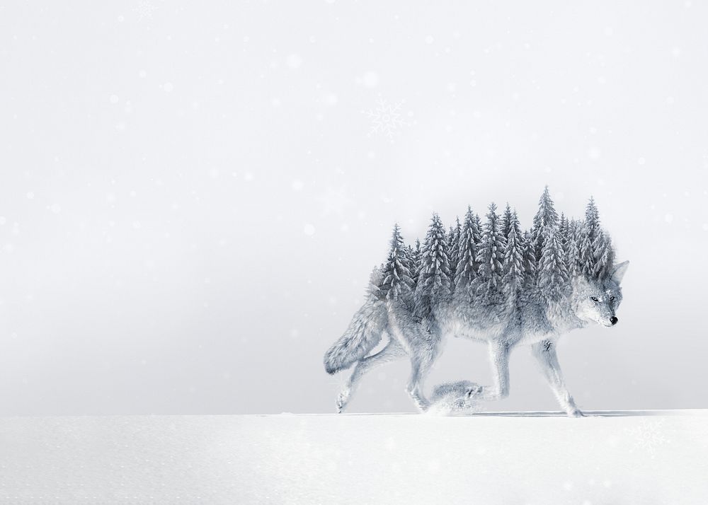 Surreal coyote wolf background, pine forest back remix
